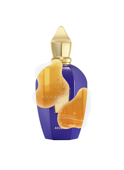 IMPRESSION OF XERJOFF - ACCENTO