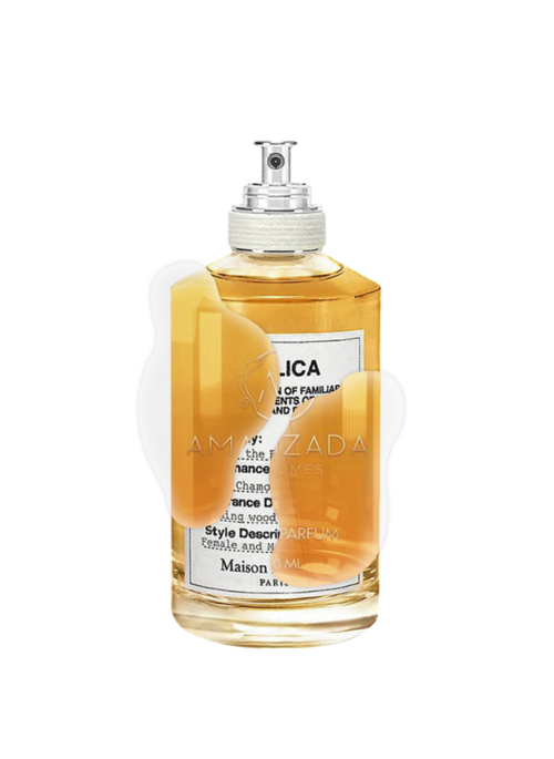 IMPRESSION OF MAISON MARGIELA - FIRE PLACE