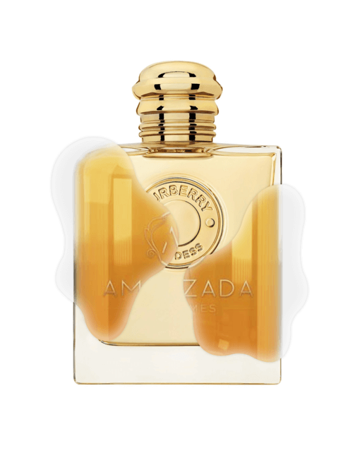 IMPRESSION OF BURBERRY - GODEES