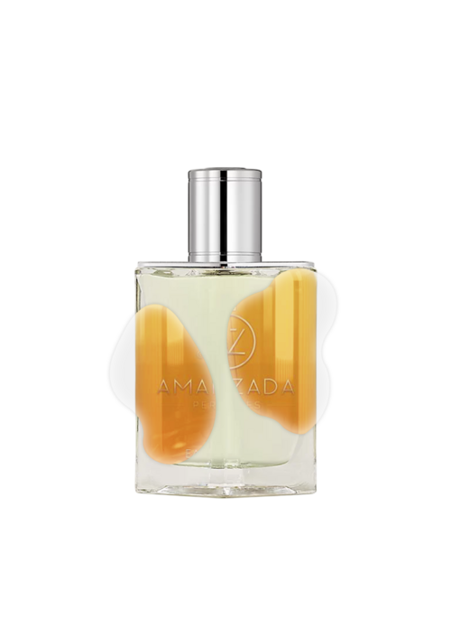 IMPRESSION OF HERMES - H24