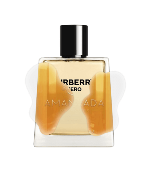 IMPRESSION OF BURBERRY - HERO