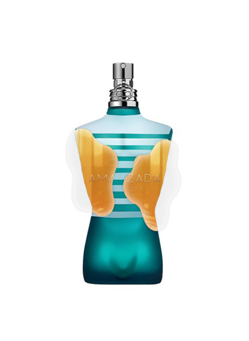 IMPRESSION OF JEAN PAUL GAULTIER - LE MALE