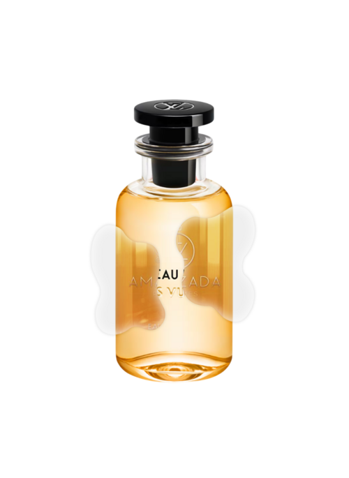 IMPRESSION OF LOUIS VUITTON - NOUVEAU MONDE