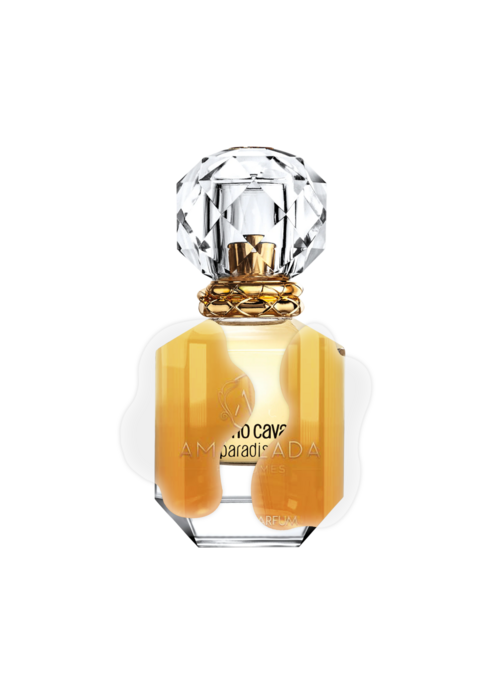 IMPRESSION OF ROBERTO CAVALI - PARADISO
