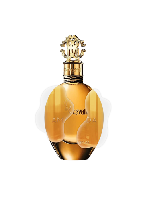 IMPRESSION OF ROBERTO CAVALI