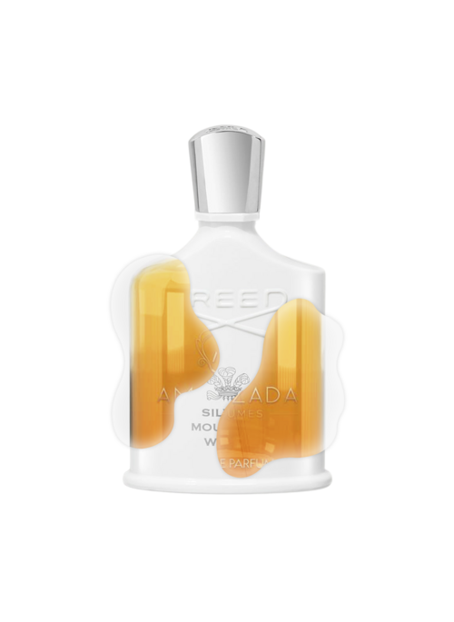 IMPRESSION OF CREED - SILVER MOUNTAIN WATER