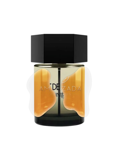 IMPRESSION OF YSL - LA NUIT DE L'HOMME